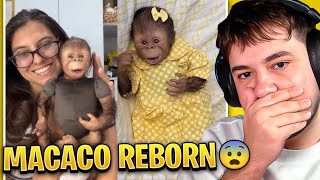 O BIZARRO CASO DOS MACACOS REBORN [upl. by Erlond]