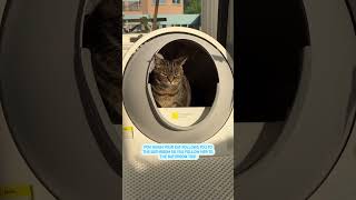 Bathroom buddies for life  CATLINK Luxury ProX Automatic Litter Box [upl. by Tecla812]