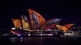 Vivid light festival 2016 Sydney Opera House full hd 50fps Australia [upl. by Nerita586]