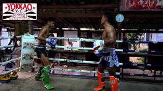 Sangmanee Sor Tienpo vs Saenchai Pk MuayThaiGym  yokkaoboxing [upl. by Stevens]