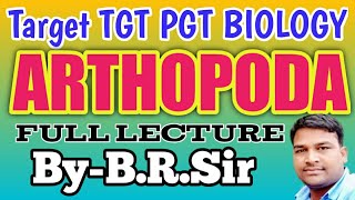 Phylum Arthopoda full lecture  UP tgt pgt biology  most important points of Arthopoda ByBRSir [upl. by Delcine]