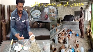 Murgiyon Ke Liye Desi Dawai Banai Hai🐔🐣🐓🐥 [upl. by Lubow477]