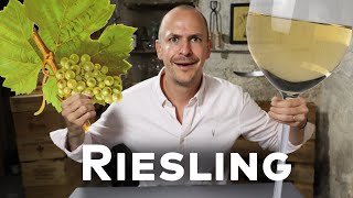 RIESLING  WINE IN 10 [upl. by Buonomo]