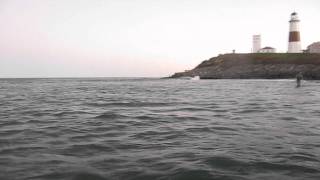 Montauk Bass Blitz  Surfcasting Lighthouse [upl. by Okorih]