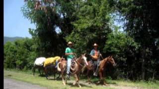 Cuba quotFrutas del Caneyquot Trío Matamoros [upl. by Zacarias]