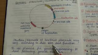 Bacterial Plasmids part 1 [upl. by Murdoch]