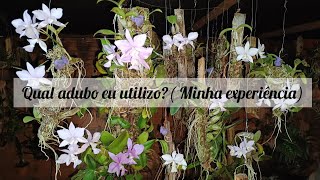 Orquídeas saudáveis Qual adubo e qual veneno para pragas eu ultilizo e minha experiência [upl. by Anigue]