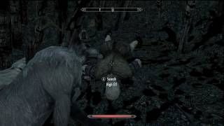 Skyrim Easy High Elf Blood Harvest Location  Discerning the Transmundane [upl. by Eslud]