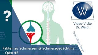 Chronischer Schmerz das Schmerzgedächtnis psychosomatische Schmerzen amp Schmerztherapie ☎QampA 3👥 [upl. by Isaacs]