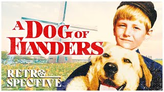 20th Century Fox Classic Family Movie  A Dog Of Flanders 1959 [upl. by Nala]