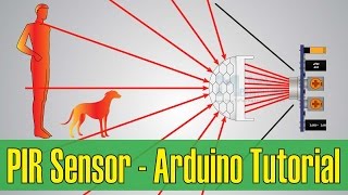 How PIR Sensor Works and How To Use It with Arduino [upl. by Beatty223]