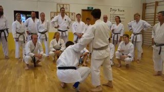 Rick Hotton Sensei Demonstrates Armlock [upl. by Brownley]