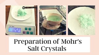 Mohrs Salt Crystal Preparation Chemistry Practical Class 12th  CBSE 2021  Bhatia mam Classes [upl. by Wilhelm]