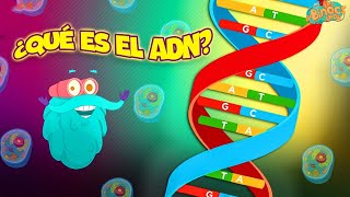 ¿Qué Es El ADN  Vídeo Educativo útil  Educativos Para Niños 2024  Ciencia Para Niños [upl. by Assiralk221]