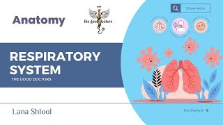 Lecture 2  Pharynx  Anatomy RS [upl. by Kellie]