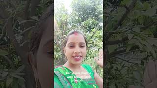 Khandwa mein shobhe wali juda se Lagake jali shortvideo song tranding [upl. by Drogin]