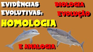 EVIDÊNCIAS EVOLUTIVAS Homologia x Analogia  EVOLUÇÃO  BIOLOGIA [upl. by Yrovi]