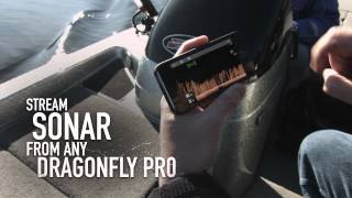 New Dragonfly 4 5 and WiFish Sonar from Raymarine [upl. by Enirbas666]