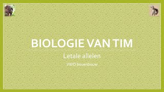 Biologie van Tim  Letale allelen bovenbouw [upl. by Georglana]