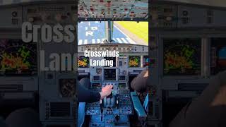 Crosswinds aviation avgeek pilot [upl. by Trebmal626]