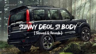 Sunny Deol Si Body Re  Slowed amp Reverb  Raju Punjabi  Choudhar Jaat Ki Latest Haryanvi Song [upl. by Odelia494]