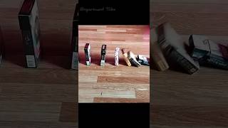 Domino Effect Experiment experiment shorts ytshorts [upl. by Olag756]