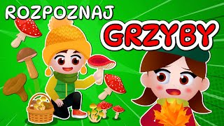 🍄 Kazio i TEST GRZYBIARZA  Grzybobranie dla dzieci  Rozpoznawanie grzybów 🍄 [upl. by Naerb]