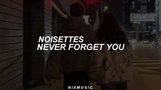 Noisettes  Never Forget You Tradução PTBR [upl. by Isidoro]