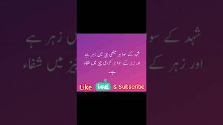 viralvideo newchannnel islamicvideo quotes love [upl. by Orecic87]