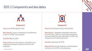 Workplace Spotlight EEO1 Reporting Update [upl. by Natye]