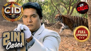 क्या एक Tiger है वो Culprit जिसकी CID ​​को है तलाश  CID  सीआईडी  CID Movies  10 June 2024 [upl. by Eba]