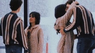 Camila Cabello and Shawn Mendes quotin lovequot moments [upl. by Barnaba64]