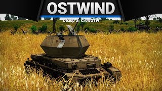 Ostwind СОМНИТЕЛЬНЫЙ в War Thunder [upl. by Cozmo]