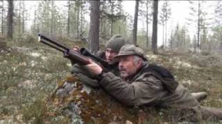 Jagd auf Auer und Birkwild in Schweden [upl. by Eenahpets]