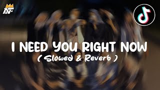 DJ I Need You Right Now X DROP JJ  Slowed amp Reverb [upl. by Rebm]