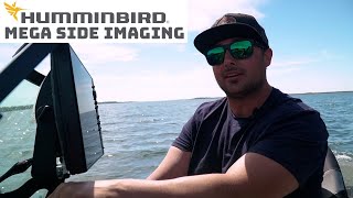 Humminbird Mega Side Imaging Sonar tips and tricks to catch big fish in shallow water [upl. by Areic]