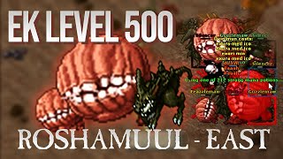 EK SOLO LVL 500 ROSHAMUUL EAST 7KKXPHR 800K PROFIT [upl. by Laroy906]