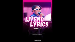 IJYENO by Bushali OFFICIAL LYRICS [upl. by Yadahs337]