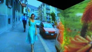 Pipilotti Rist  Ever Is Over All excerpt [upl. by Imuyam159]