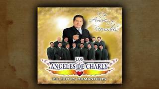 Los Angeles De Charly  No Te He Dejado De Amar [upl. by Mauceri]