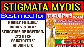 Stigmata M ZesCorn silk ठीक करेगी renal lithiasiscystitisprostateurethritis etcDrsbtiwari [upl. by Ahsekyt]