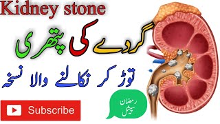 Gurde ki pathri ka ilaaj  Gurde ki dard ka ilaj in urdu  Kidney pain treatment in hindi [upl. by Nie]