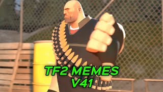 TF2 MEMES V41 [upl. by Itoc383]