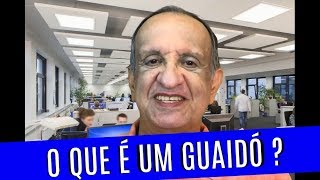 O que é um guaidó [upl. by Sussna130]