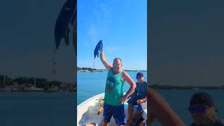 Feeding the frigate birds in Belize [upl. by Noillid]