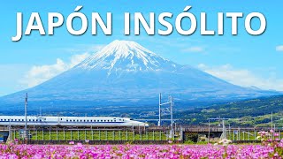 JAPÓN INSÓLITO  Las maravillas más alucinantes de Japón [upl. by Riess763]