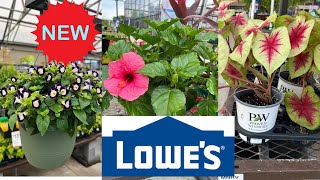 LOWES  HOW TO MAKE YOUR GARDEN BEAUTIFUL  WHAT FLOWERS TO BUY AT LOWES [upl. by Nyloc]