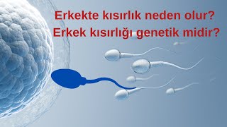 Erkeklerde Kısırlık Nasıl Anlaşılır   Testi Nasıl Yapılır  Genetik Mi  Prof Dr Murad Başar [upl. by Arvo]