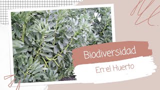 La Biodiversidad en el Huerto [upl. by Ahsitil]