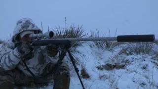 Predator Hunting SUPPRESSED® quotTriple Downquot [upl. by Anrym]